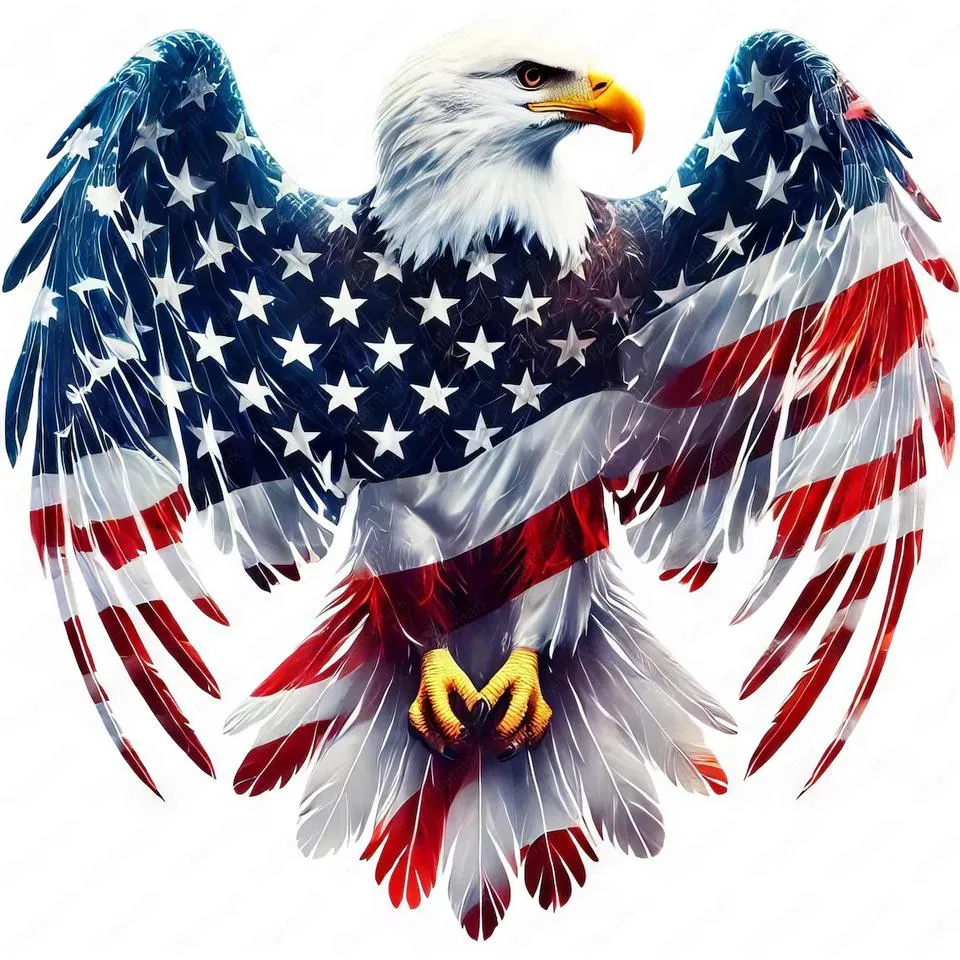 GO GO GO USA